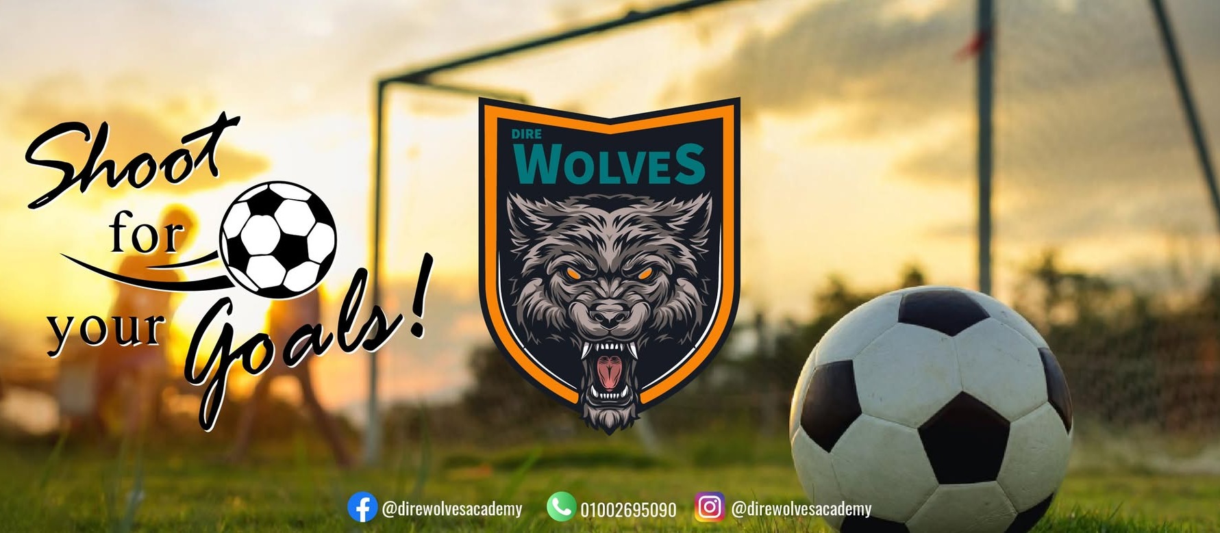 Dire Wolves Football Academy